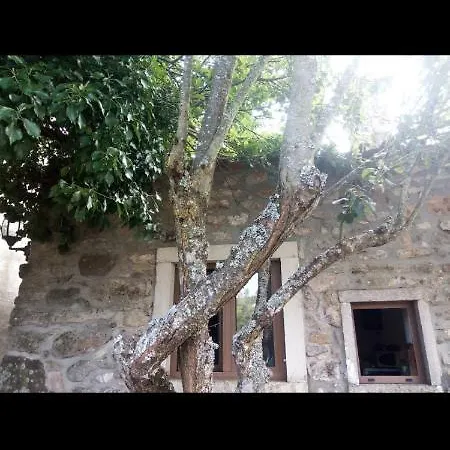 A Casa Do Moinho Casa de Férias